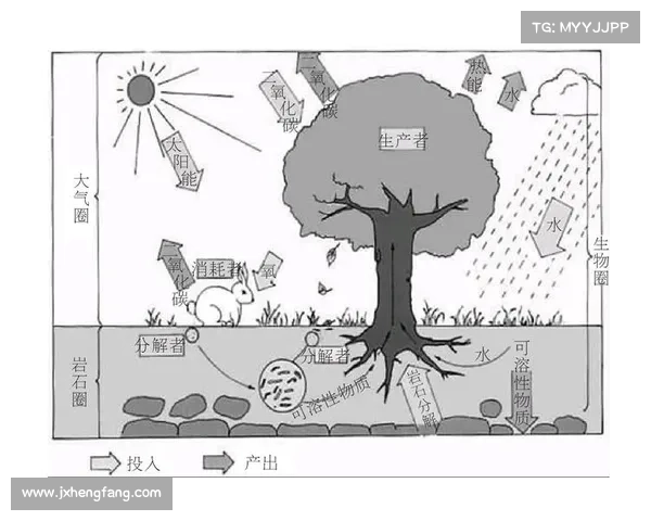 探秘卷帘绿魔的独特生态魅力与家庭养护技巧解析