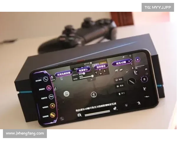 全面解析崛起修改器核心功能与高效运用技巧助你畅享极致游戏体验